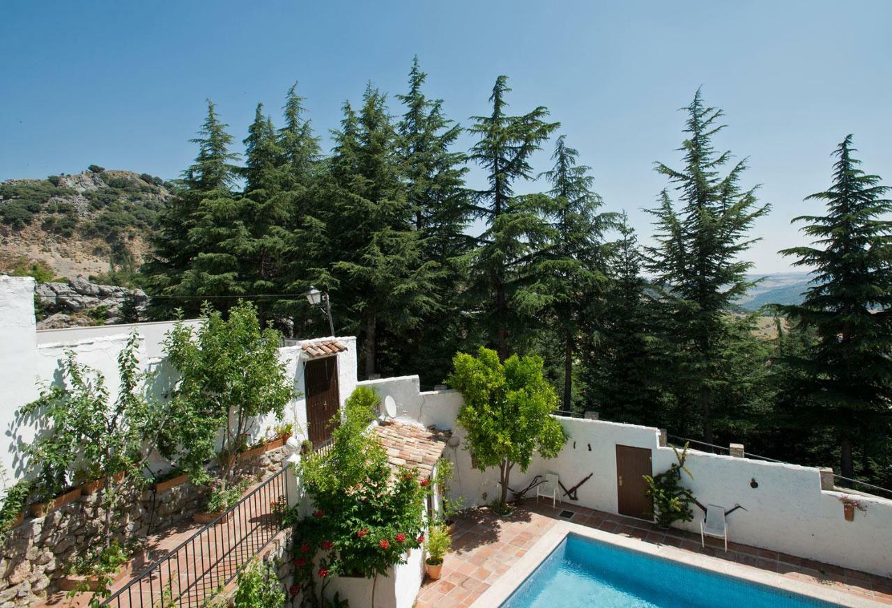 La Mejorana Ξενοδοχείο Grazalema Εξωτερικό φωτογραφία
